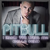 I Know You Want Me (Calle Ocho) [More English Extended Mix] - Pitbull